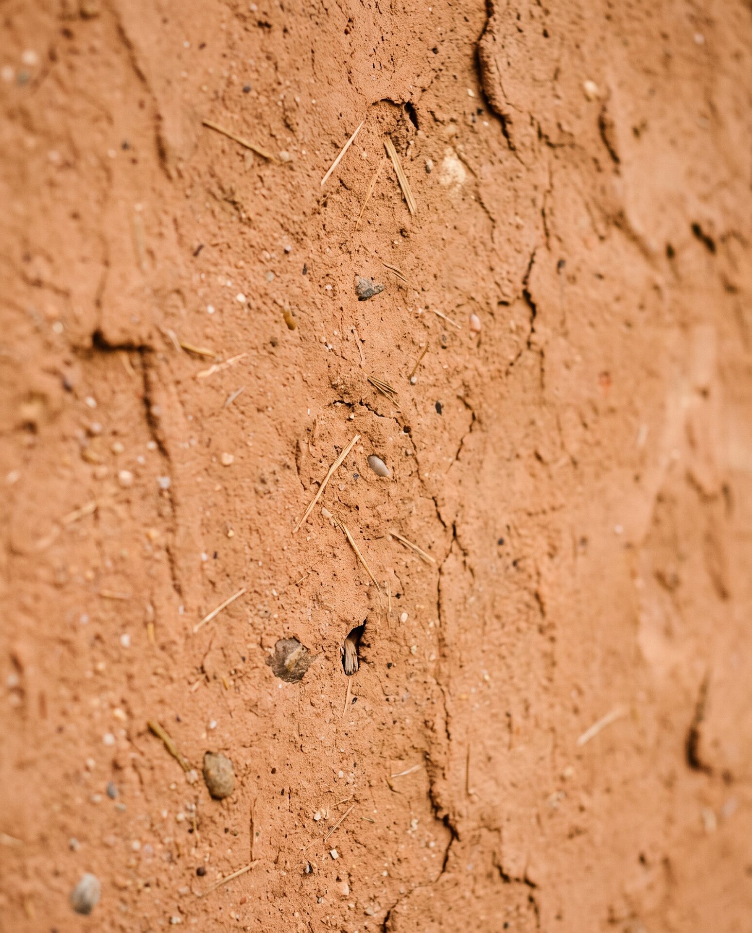 Detail einer Lehmputzwand mit feiner natürlicher Struktur