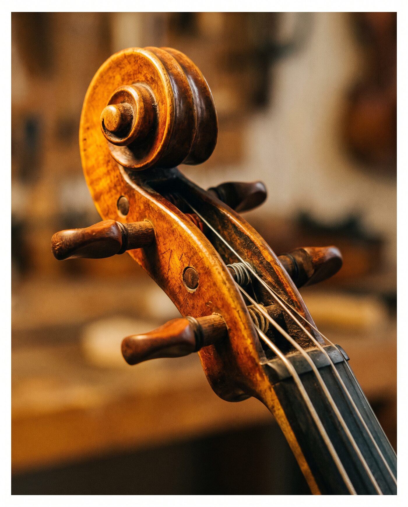 Nahaufnahme einer Violinenschnecke und der Saiten mit warmem Geigenlack