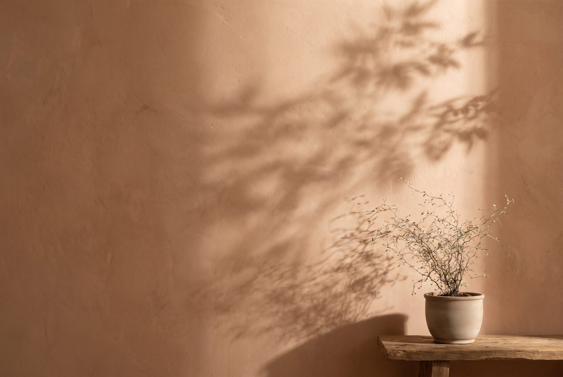 Sanftes Morgenlicht und Schattenmuster auf einer warmen Wand mit Pflanze
